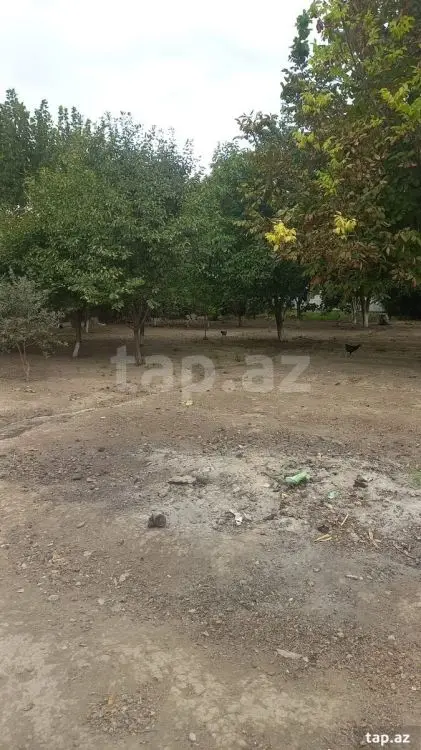 60 000 AZN - 4 otaqlı mənzil , Yevlax