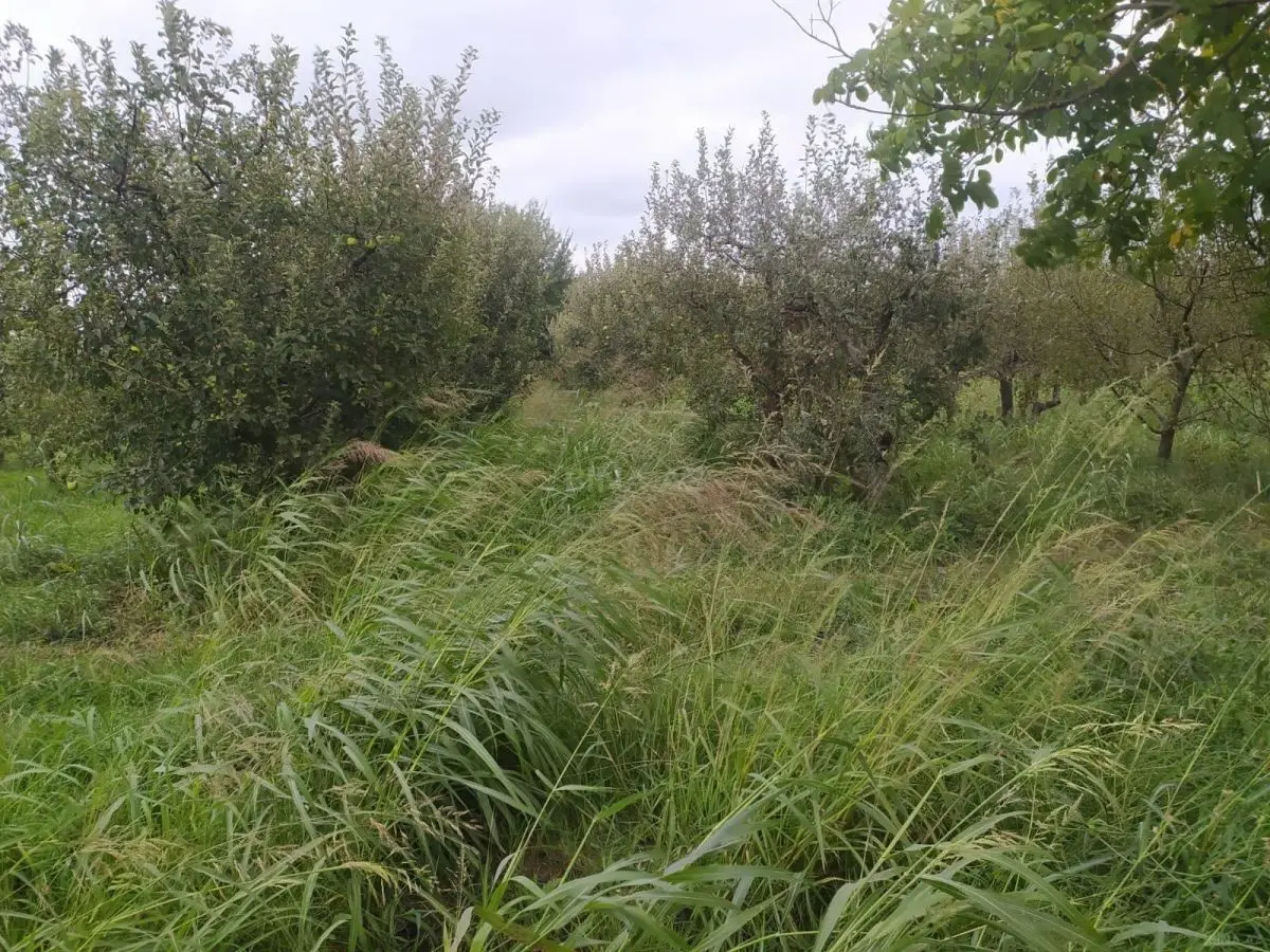 36 000 AZN - 90 sot Torpaq Satılır, Quba