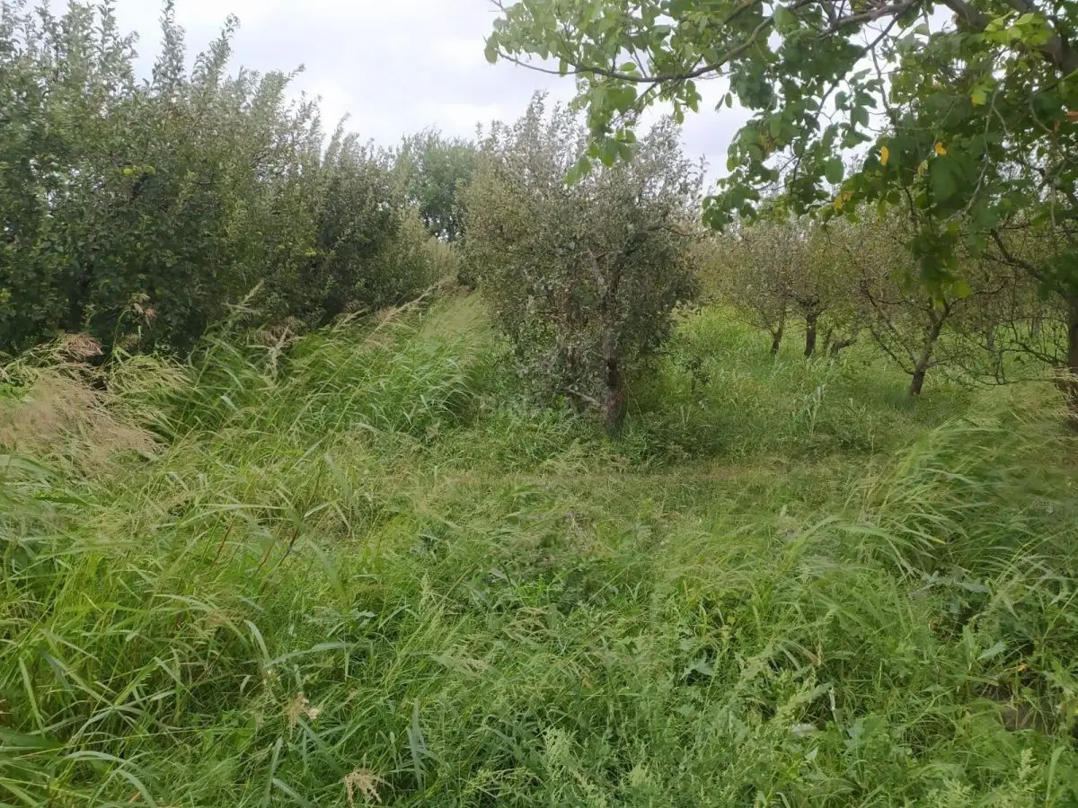 36 000 AZN - 90 sot Torpaq Satılır, Quba