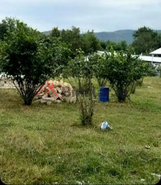 2 500 AZN - 0 sot Torpaq Satılır, Qəbələ