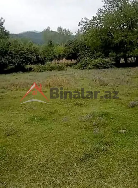 2 500 AZN - 0 sot Torpaq Satılır, Qəbələ