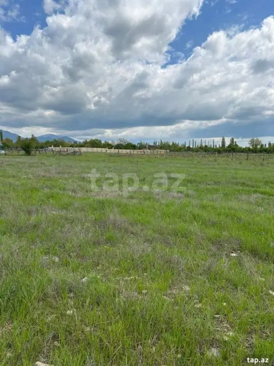 95 000 AZN - 0 m² Obyekt / Ofis , Qəbələ