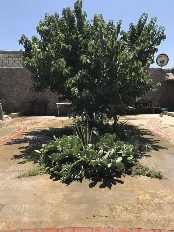 500 AZN - 2 otaqlı mənzil Kirayə (aylıq), Kürdəxanı qəs., Sabunçu, Bakı