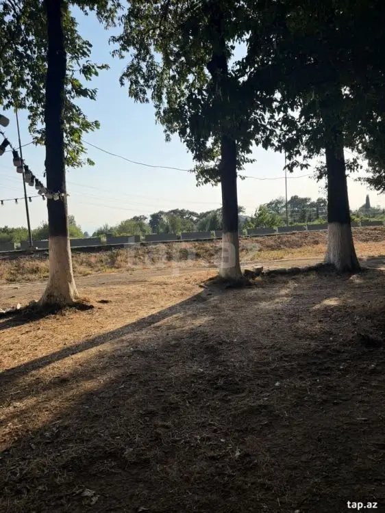 60 000 AZN - 0 m² Obyekt / Ofis , Masallı