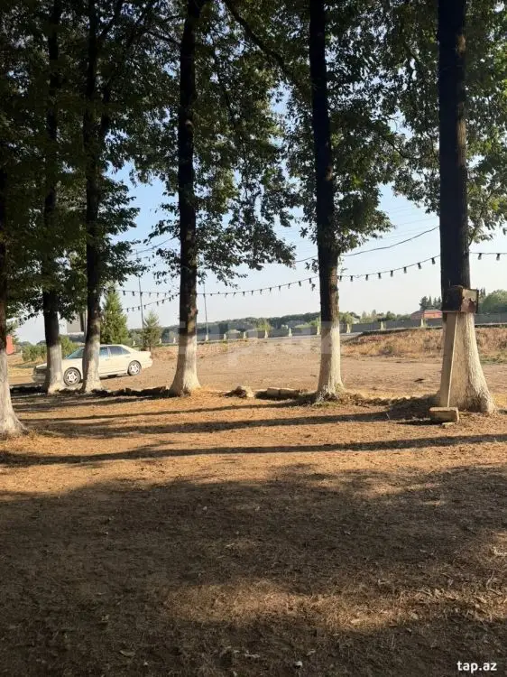 60 000 AZN - 0 m² Obyekt / Ofis , Masallı