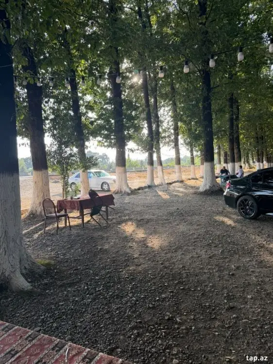 60 000 AZN - 0 m² Obyekt / Ofis , Masallı