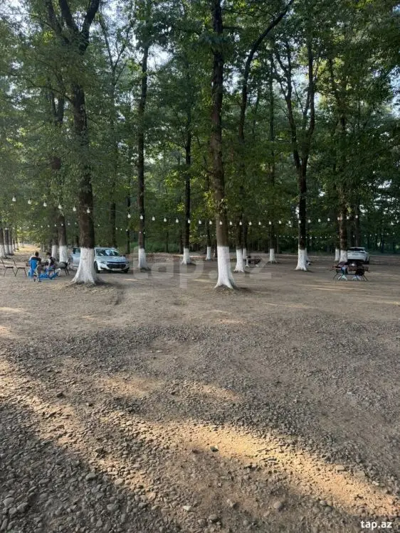 60 000 AZN - 0 m² Obyekt / Ofis , Masallı