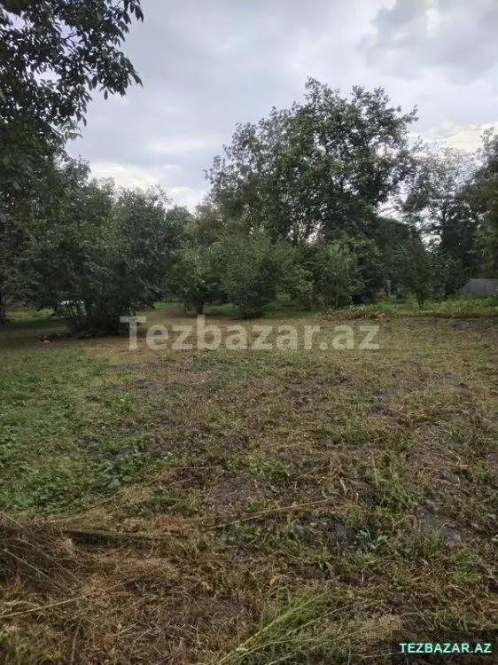 3 600 AZN - 0 sot Torpaq Satılır, Qəbələ