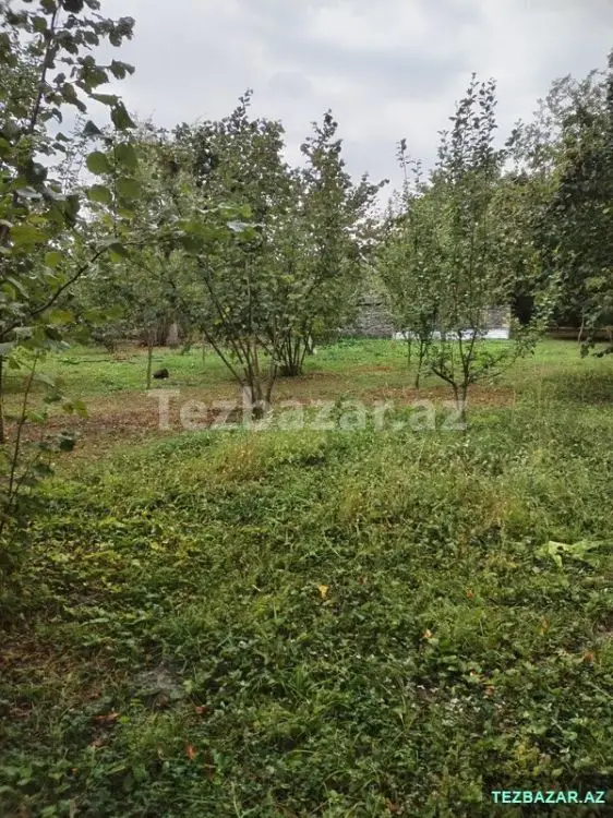 3 600 AZN - 0 sot Torpaq Satılır, Qəbələ