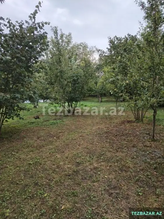 3 600 AZN - 0 sot Torpaq Satılır, Qəbələ