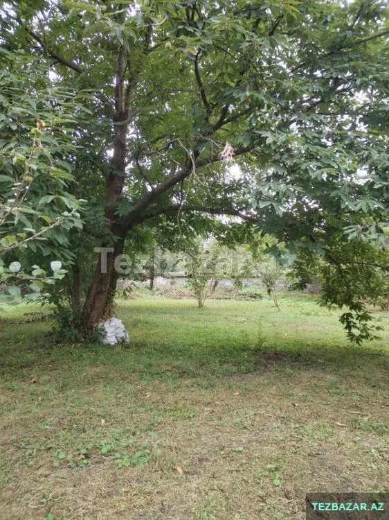 3 600 AZN - 0 sot Torpaq Satılır, Qəbələ