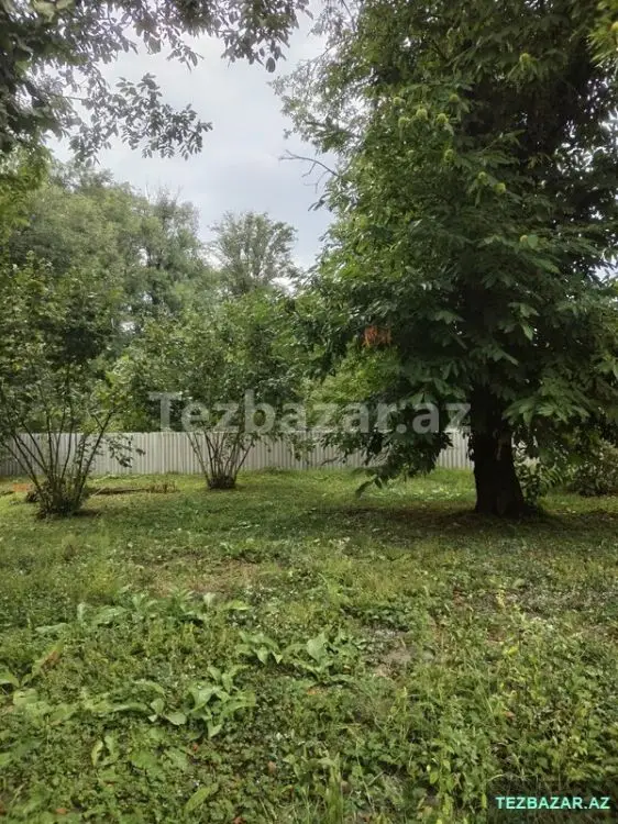 3 600 AZN - 0 sot Torpaq Satılır, Qəbələ