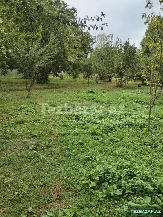 3 600 AZN - 0 sot Torpaq Satılır, Qəbələ