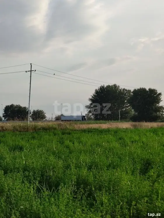 65 000 AZN - 0 m² Obyekt / Ofis , Xaçmaz