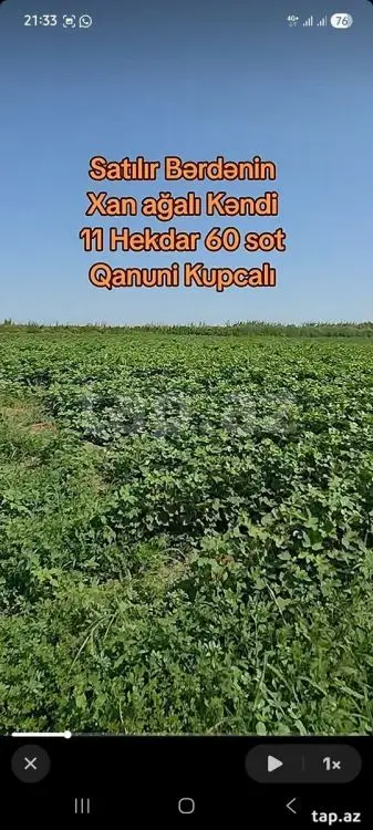 125 000 AZN - 0 m² Obyekt / Ofis , Bərdə