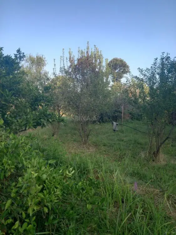 15 000 AZN - 11.2 sot Torpaq Satılır, Lənkəran