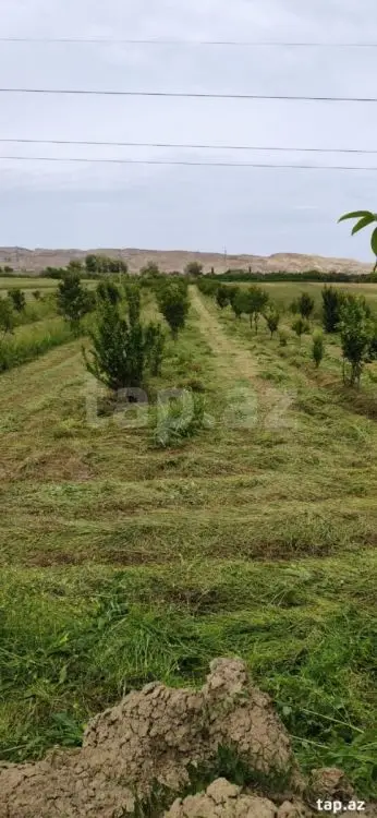 55 000 AZN - 0 m² Obyekt / Ofis , Mingəçevir