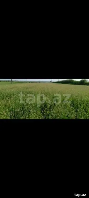 55 000 AZN - 0 m² Obyekt / Ofis , Mingəçevir