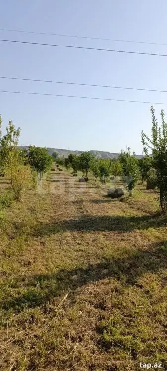 55 000 AZN - 0 m² Obyekt / Ofis , Mingəçevir