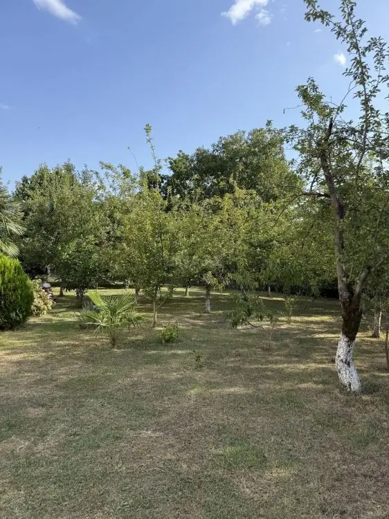 5 300 AZN - 8 sot Torpaq Satılır, İsmayıllı