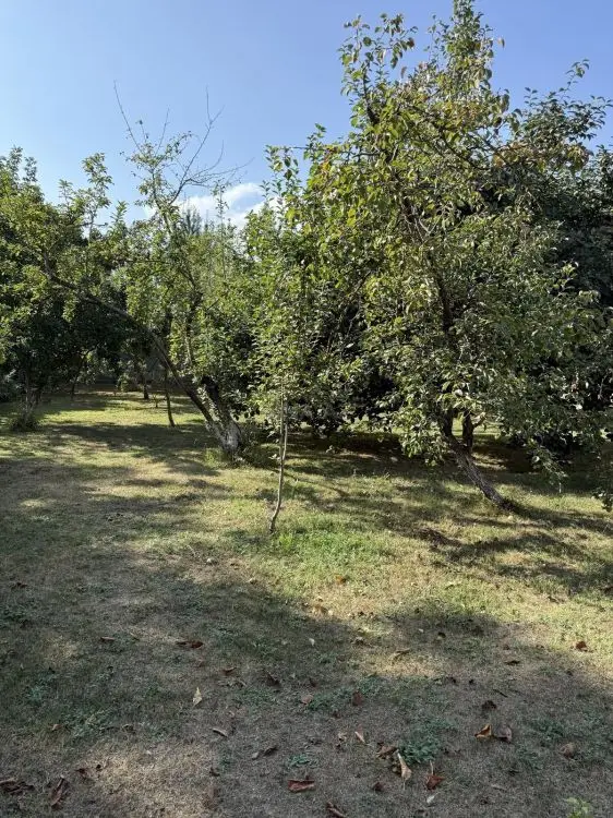 5 300 AZN - 8 sot Torpaq Satılır, İsmayıllı