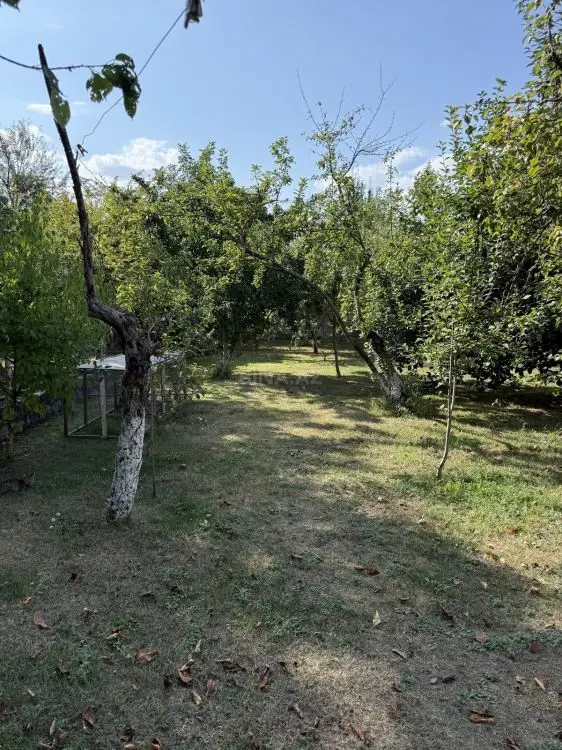 5 300 AZN - 8 sot Torpaq Satılır, İsmayıllı