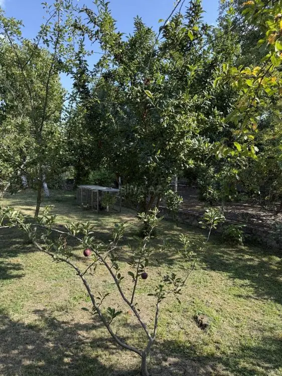 5 300 AZN - 8 sot Torpaq Satılır, İsmayıllı