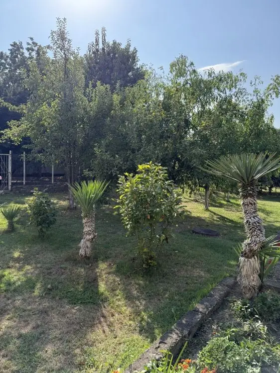 5 300 AZN - 8 sot Torpaq Satılır, İsmayıllı