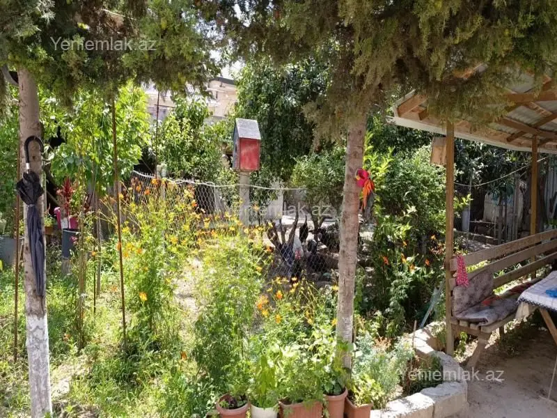 63 000 AZN - 3 sot Torpaq Satılır, Masazır, Abşeron