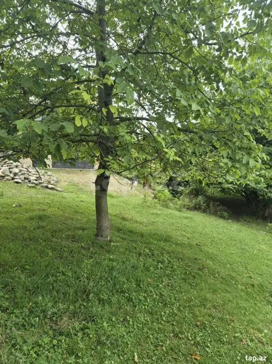 48 000 AZN - 0 m² Obyekt / Ofis , Qəbələ