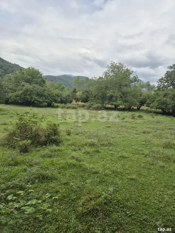48 000 AZN - 0 m² Obyekt / Ofis , Qəbələ